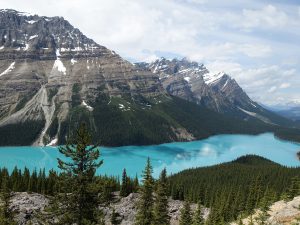 Peyto Lake, Icefields Parkway